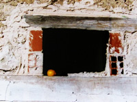  Javier CEBRIÁN - 'El limón en la ventana'